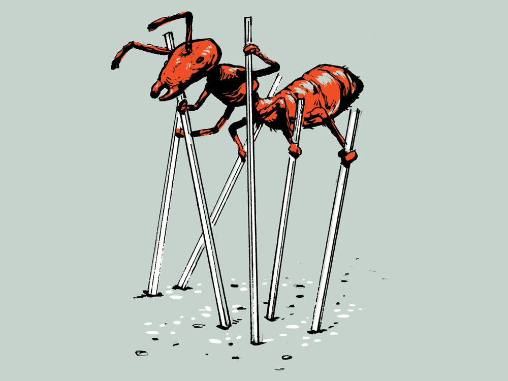 ant on stilts illustration