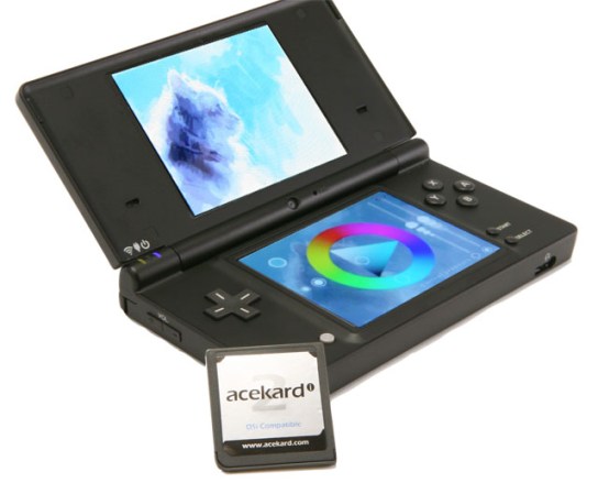 A Nintendo DSi with a homebrew illustrator app open on the screen and a "flash cart" cartridge next to it.