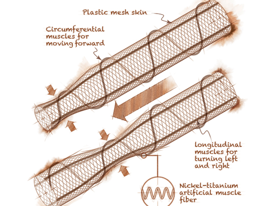 ‘We Wanted To Make A Robot That Could Squeeze Through Holes And Change Its Shape’