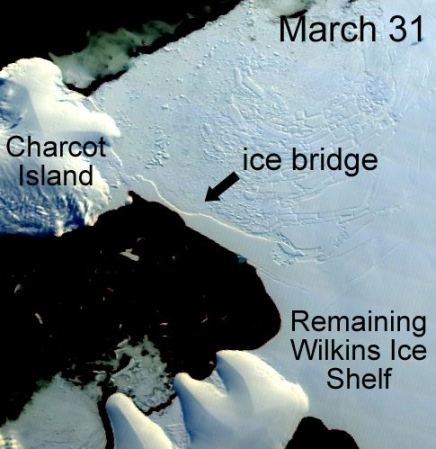 Giant Antarctic Ice Bridge Collapses