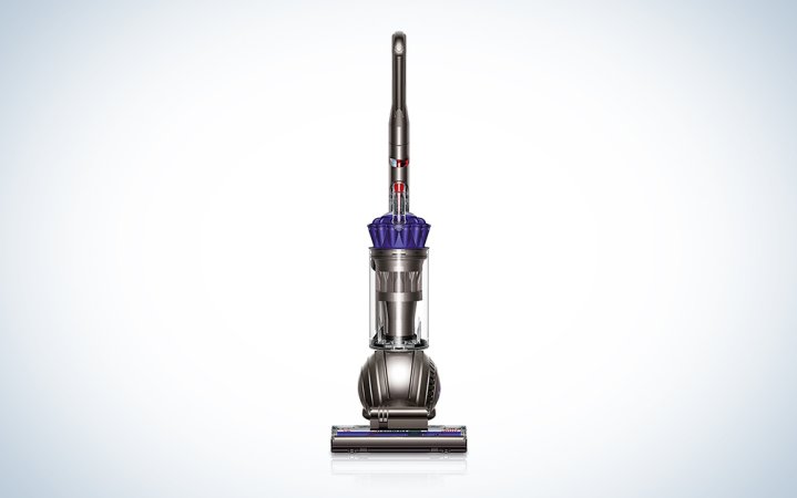  Dyson Animal ball vacuum