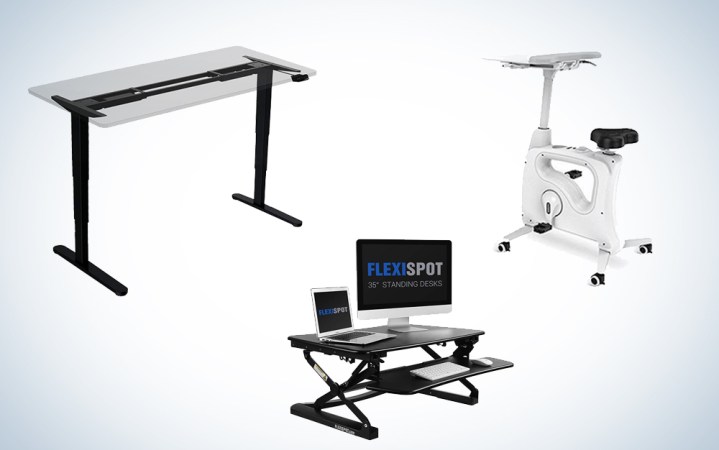  FlexiSpot standing desks