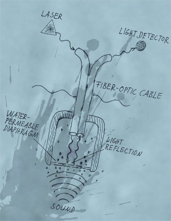 Building an Underwater Microphone Modeled on Orca Ears