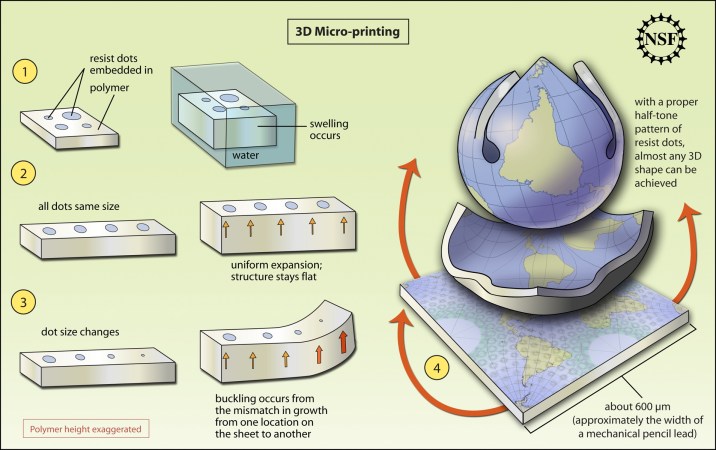 Video: 3-D Curling Method Creates Custom Structures From Flat Plastic Sheets