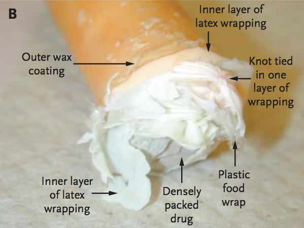 Drug Smuggling Packet, Dissected