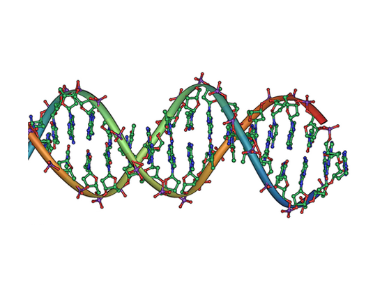 New DNA Analysis Method Drastically Cuts Time and Cost of Genome Sequencing