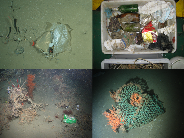 Survey Finds Trash In The Remotest Ocean Floors