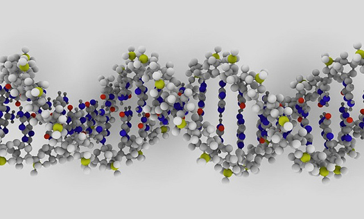 The Popular Science Guide To DNA