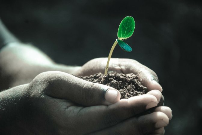 We need to protect the world’s soil before it’s too late