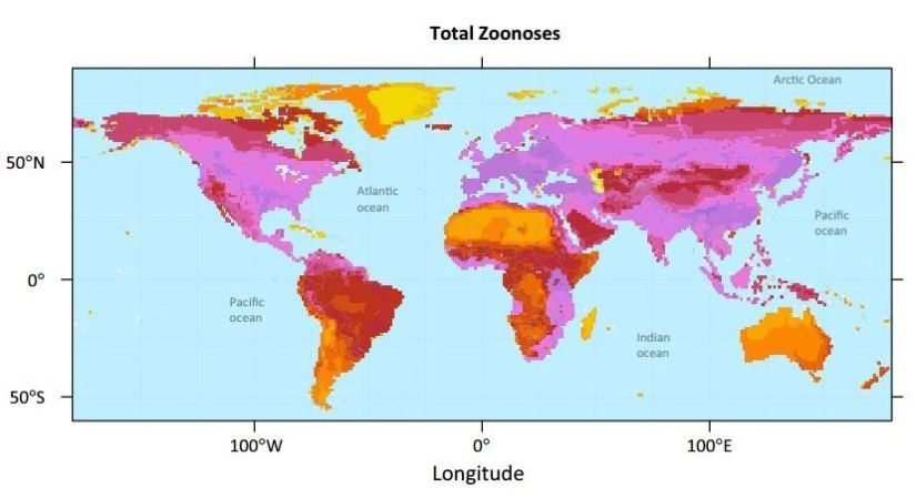 Looking To Animals To Help Predict & Prevent Future Epidemics