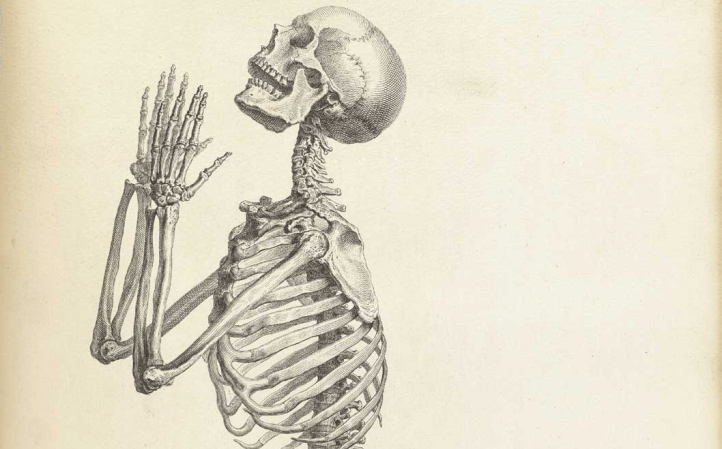 7 Fantastic Vintage Anatomy Drawings