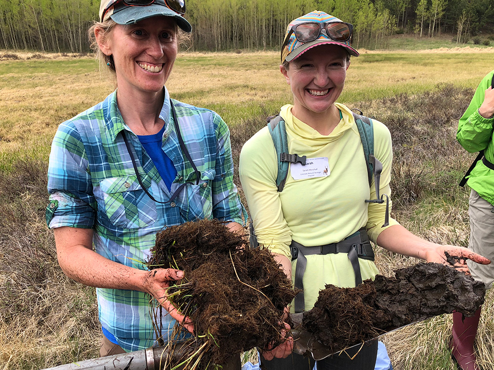 Wetland soil core