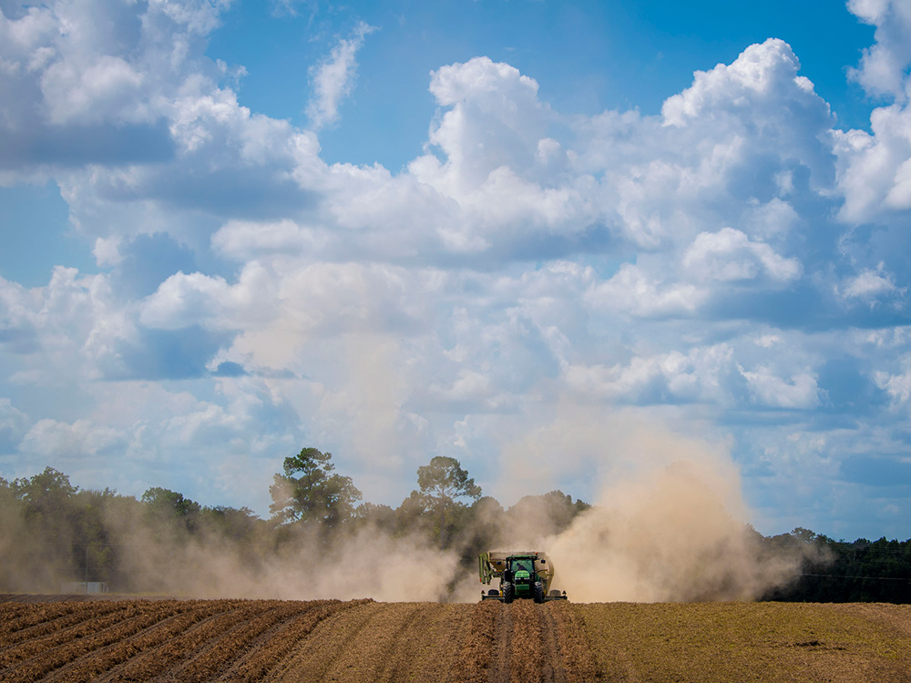 farmland