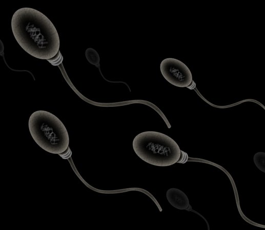 Chinese Scientists Turn Mouse Stem Cells Into Working Sperm Cells