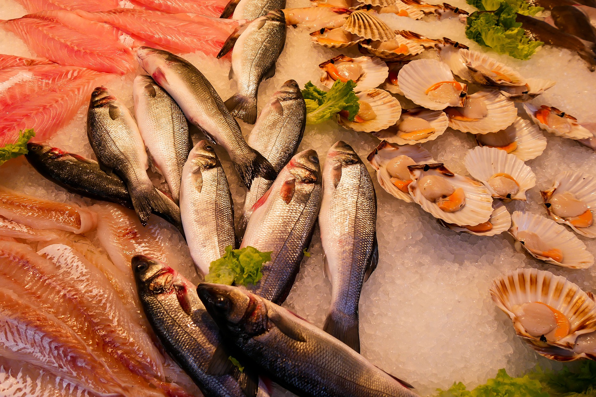 Fresh catch at a fish market.