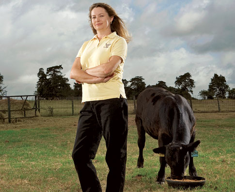 Cloned Beef: It’s What’s For Dinner