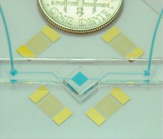 “Acoustic Tweezers” Can Manipulate Tiny Organisms Using Sound Waves