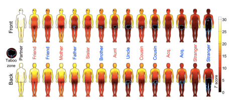 Scientists Map The Parts Of The Body Where Touching Is Okay