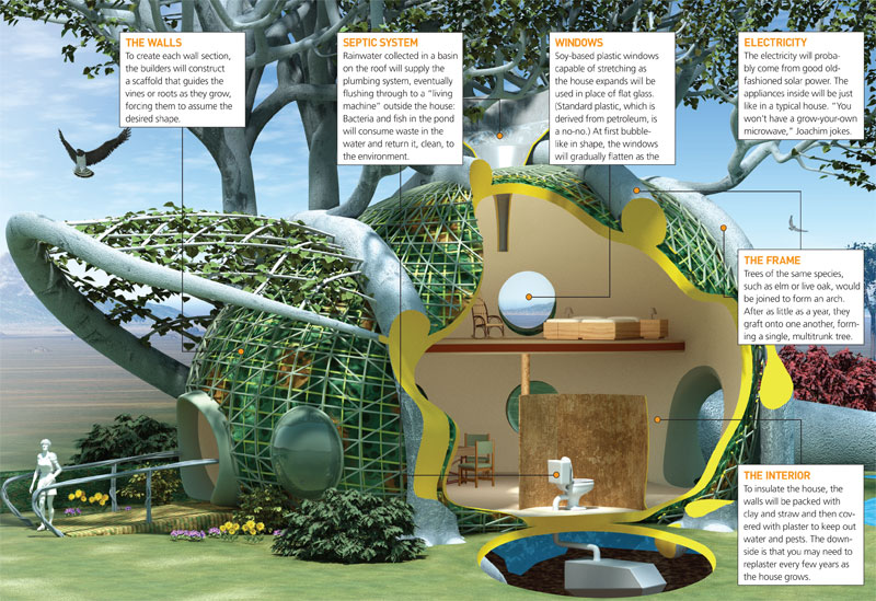 grow-your-own treehouse