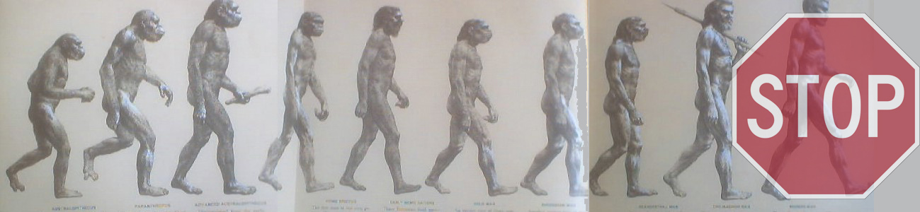 Human Evolution is Coming to a Standstill