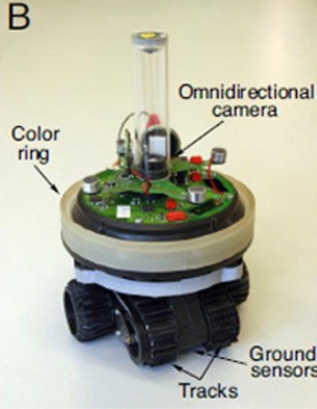 Robots Display Predator-Prey Co-Evolution, Evolve Better Homing Techniques