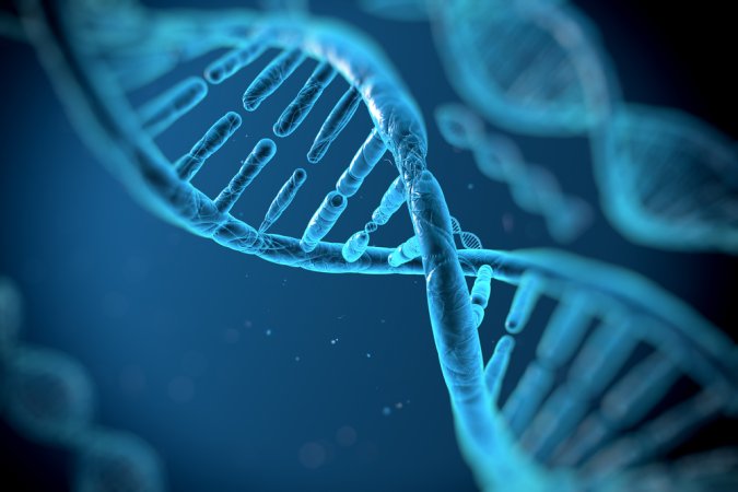 The first genetically engineered humans might not have their DNA tweaked at all