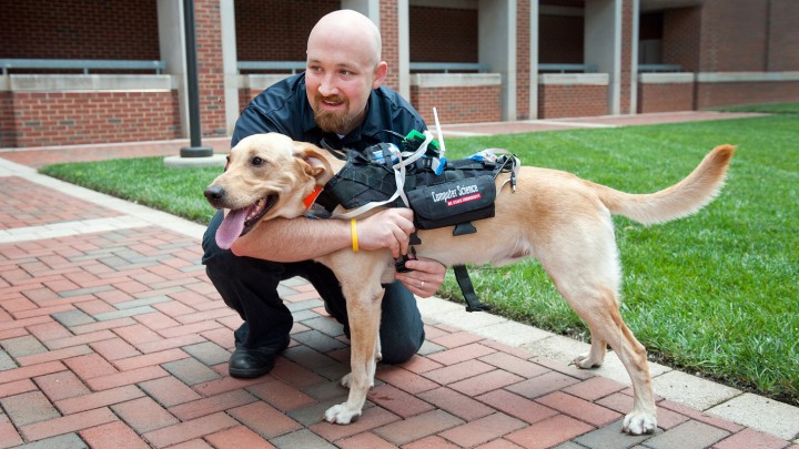 High-Tech Harness Lets You Communicate With Your Dog