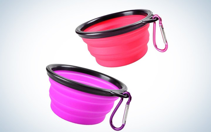  KIQ Pop-up Dog Bowl