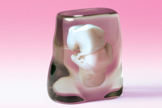 Video: A Japanese Company Will Scan and Print You a Statue of Your Gestating Fetus