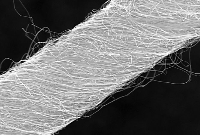 You Probably Have Carbon Nanotubes In Your Lungs