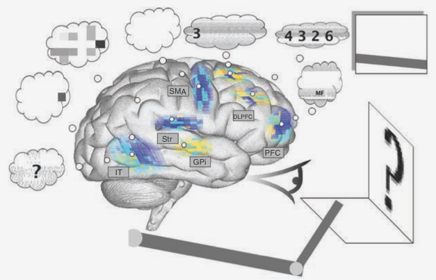 Meet Spaun, The Most Complex Simulated Brain Ever