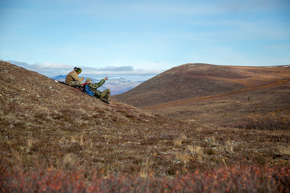 caribou in the Gwich'in community of Arctic Village