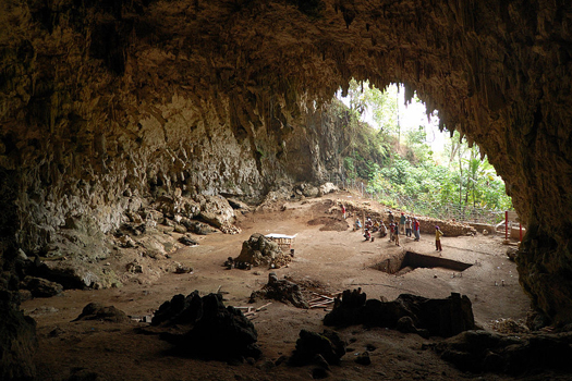 More Evidence Emerges That “Hobbits” Were A Separate Species