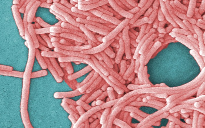 Better Know A Plague: Legionnaires’ Disease