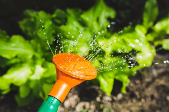 watering can