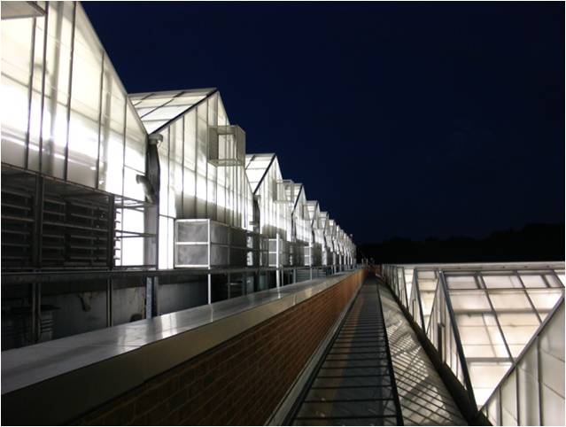 Greenhouses At Night