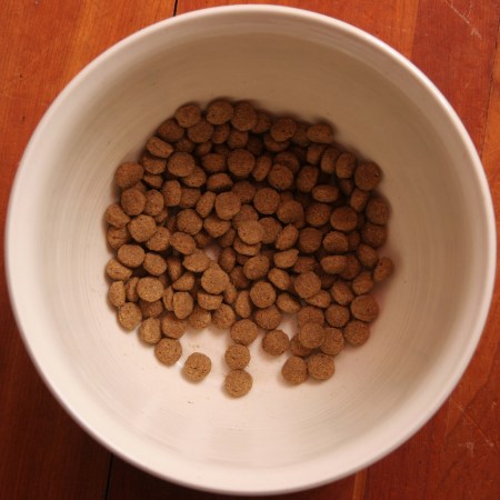 The best dry dog foods of 2024