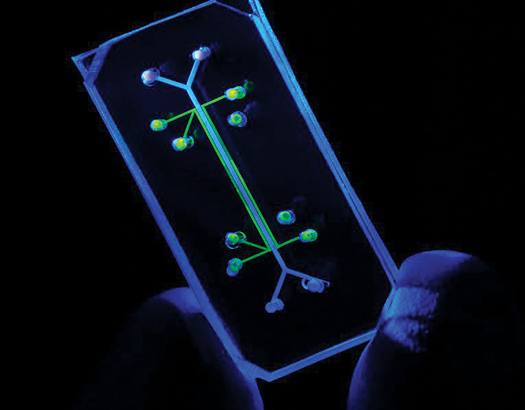 This Lung-On-A-Chip Is The First Lab-Ready Mini-Organ to Be Used in Drug Research