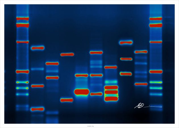 Everything You Need to Know About Precision Medicine