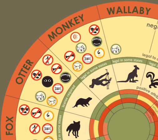 The Wheel Of Exotic Pets [Infographic]