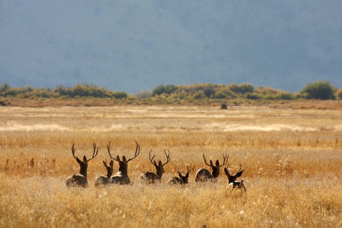 Meet The Oregon Wildlife Refuge Currently Occupied By Armed Protestors