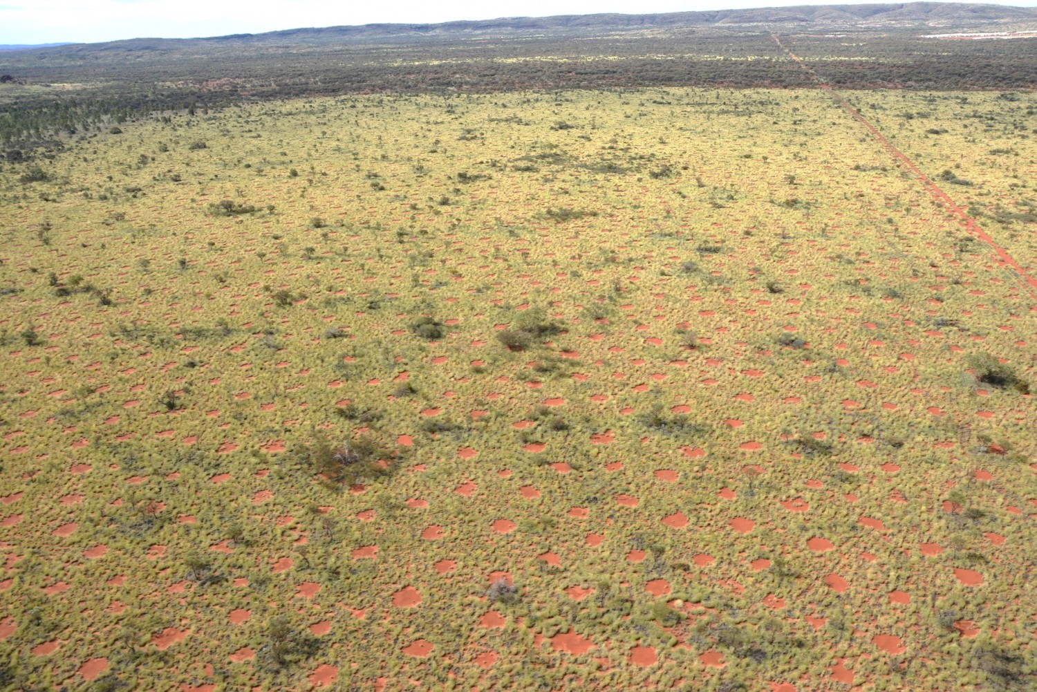 Fairy circles