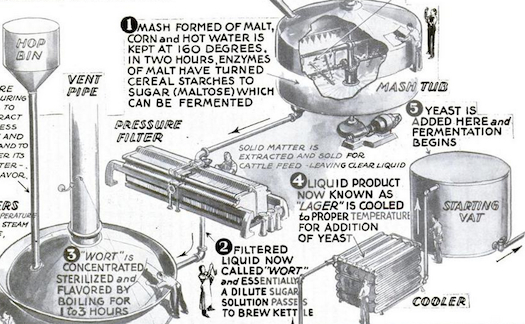 How To Make Beer [Infographic]