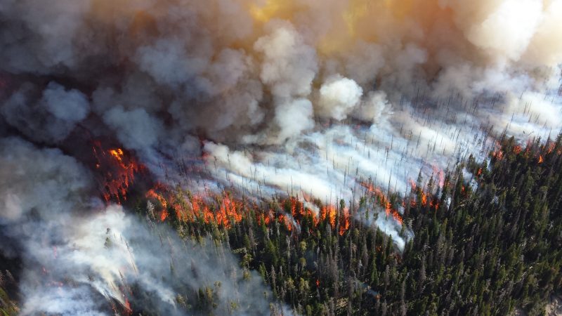 NASA Will Use Massive Satellite Network To Detect Wildfires As They Start