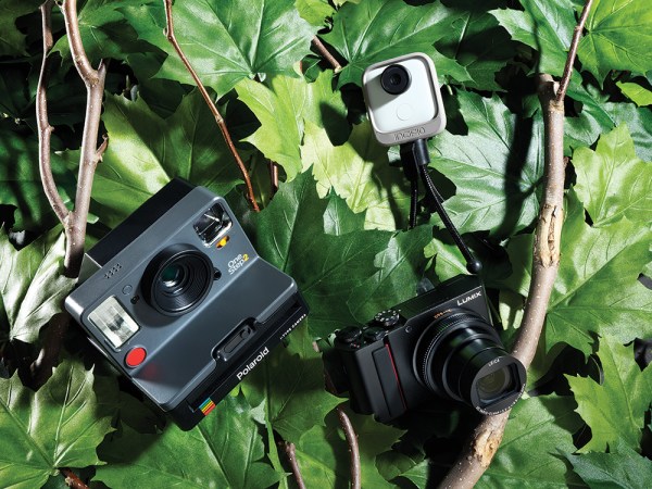 cameras in a tree