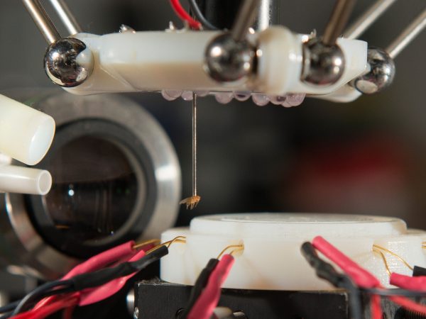 Watch This Robot Suck Up Fruit Flies Like A UFO [Video]