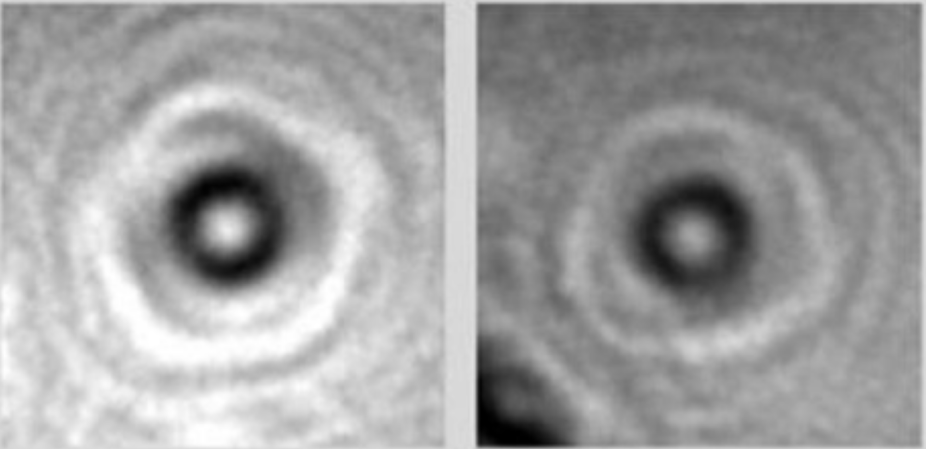 These Are The First-Ever Photos Of Individual Proteins