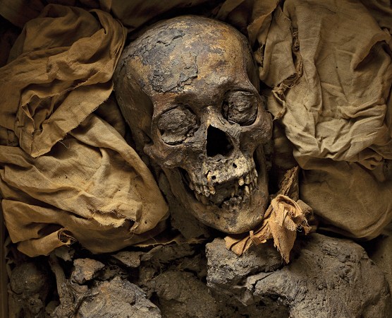 How Studying Mummies Could Cure Modern Diseases