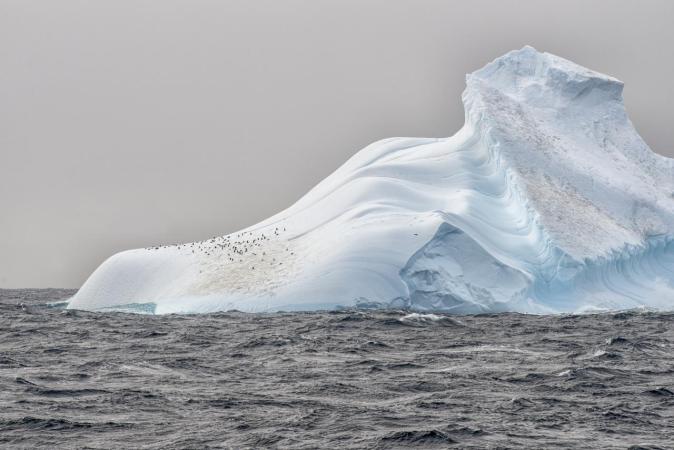 Behold The Beauty That's Now Protected By The Ross Sea Reserve