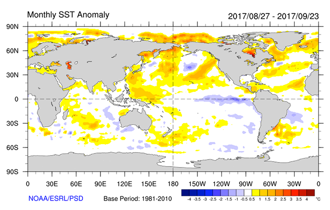 a map of sea surface temperature